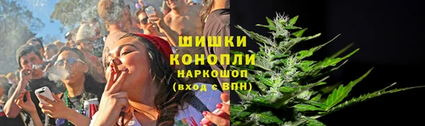 соль ск Алексин