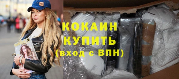 соль ск Алексин